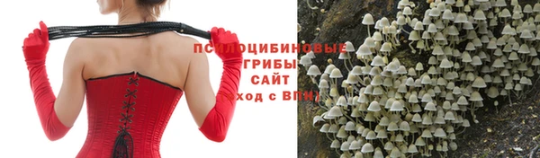 кокаин Алексеевка