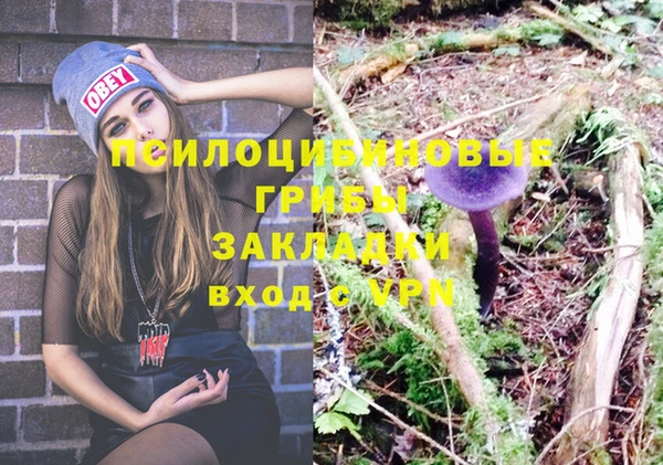 кокаин Алексеевка