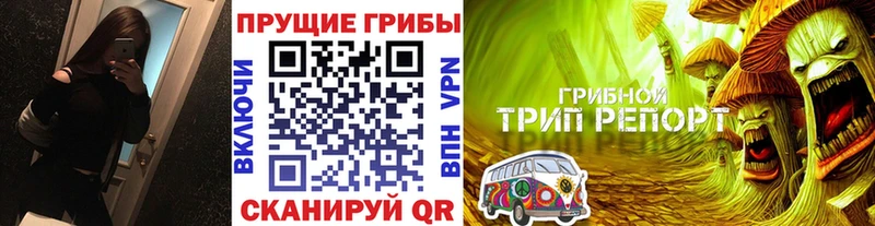 Галлюциногенные грибы мухоморы omg маркетплейс Прохладный